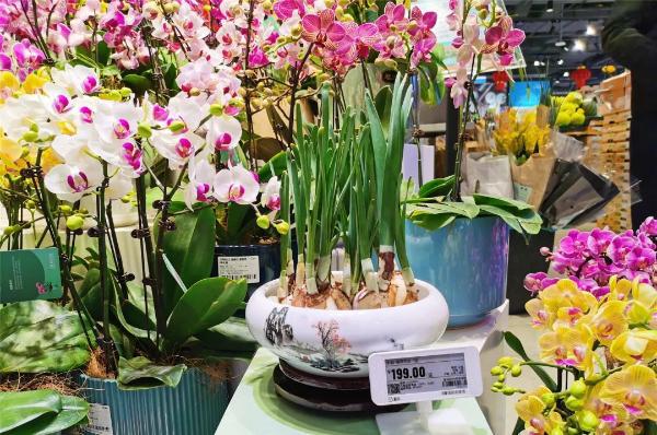 長寧商圈年味濃，禮品花卉迎春俏銷紅火