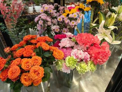 年銷(xiāo)花卉為春節(jié)添彩，禮品花卉銷(xiāo)售迎熱潮